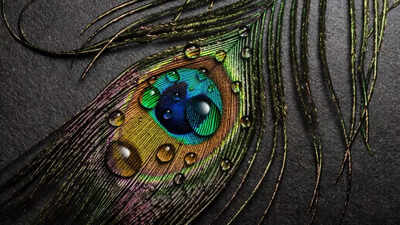 1773289428 image source freepik