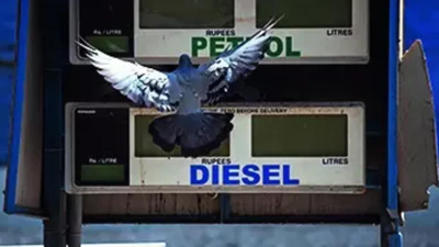 1774187613 unnamed file