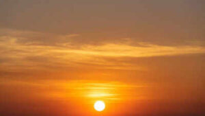 1774545482 image source freepik