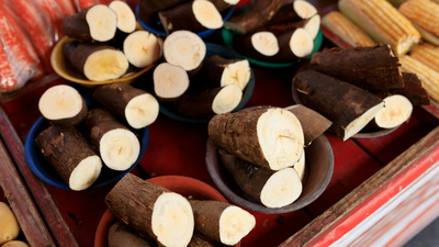 does sabudana grow on trees or is it factory made the simple truth