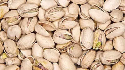 grow a pistachio plant at home the right way to build your own mini garden