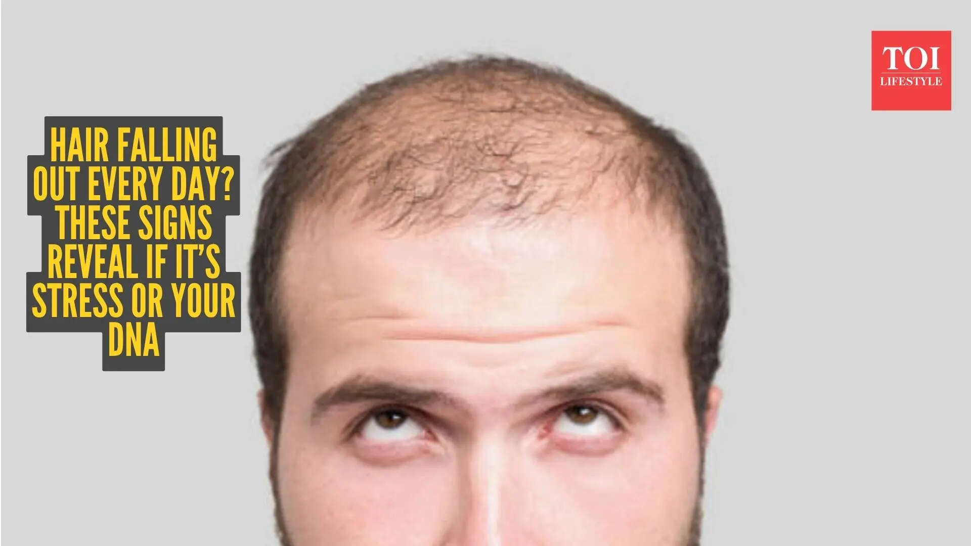 msid 129880647imgsize 54150.cms