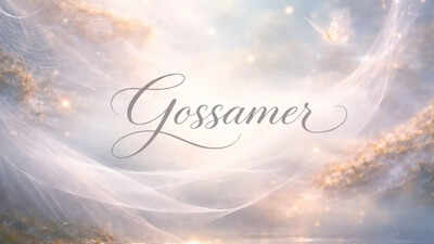 word of the day gossamer