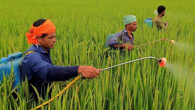 1777295910 representative image