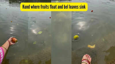 kund where fruits float and bel leaves sink