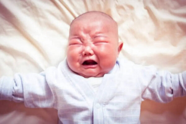 msid 130012167imgsize 26442.cms