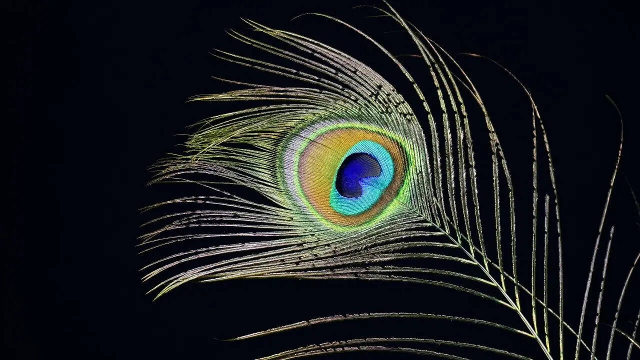 msid 130054591imgsize 115166.cms