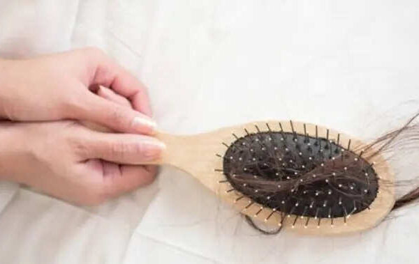 msid 130106084imgsize 12632.cms