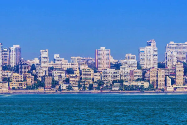 msid 130208032imgsize 137918.cms