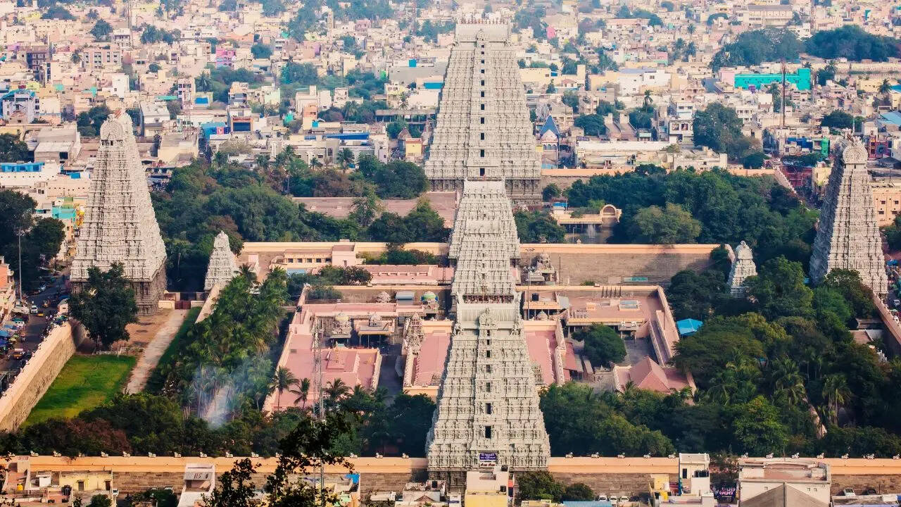 msid 130304063imgsize 231448.cms