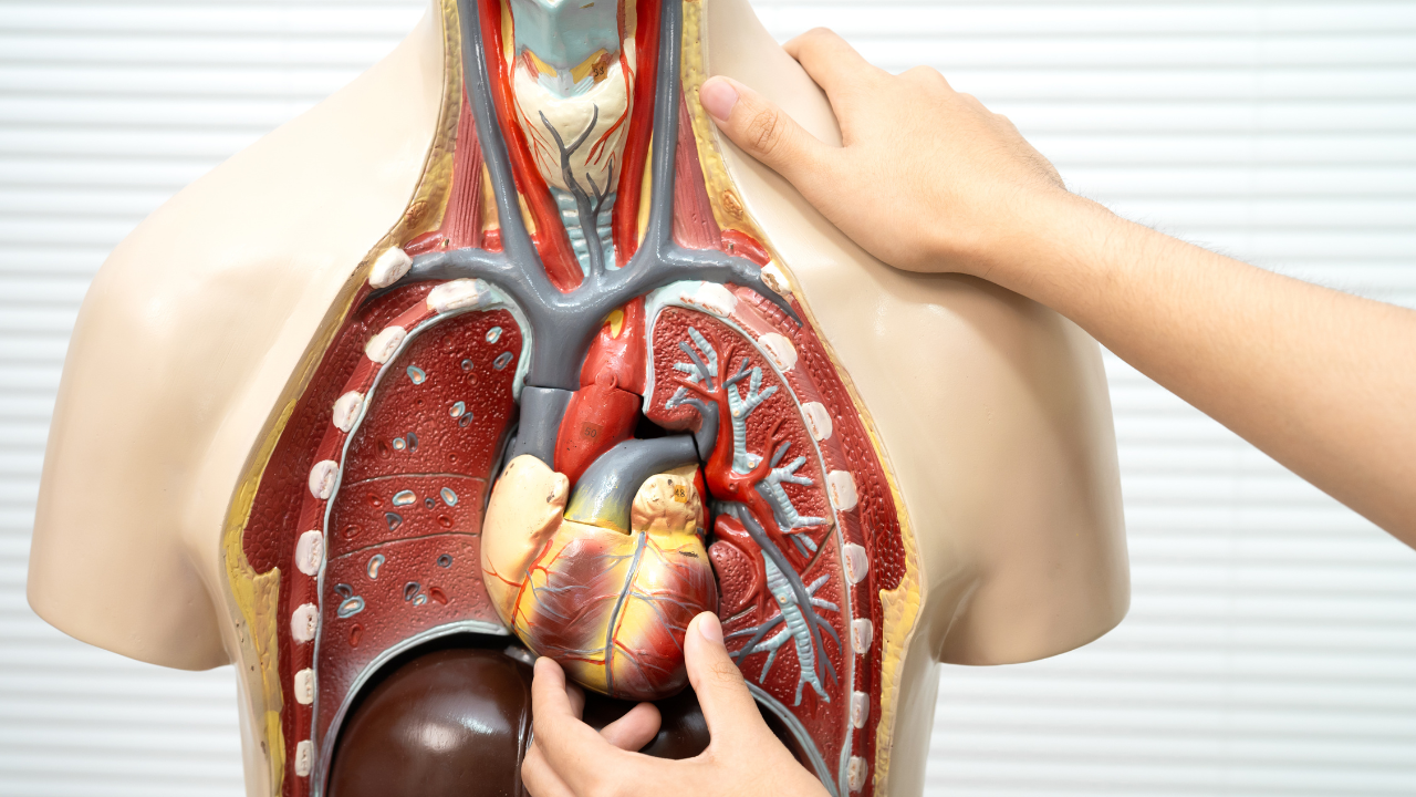 msid 130534854imgsize 1154513.cms