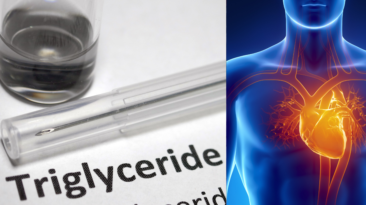 msid 130547184imgsize 1031465.cms