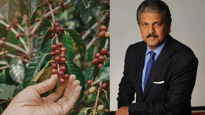 why is anand mahindra still emotionally connected to a 60 acre coffee plantation from his childhood