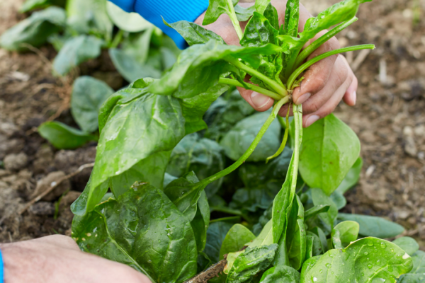 131247012.cms