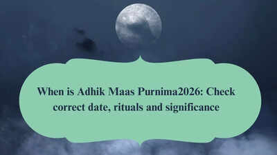 1779182541 image source canva