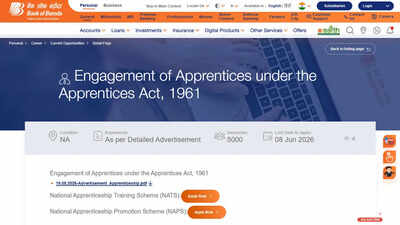bank of baroda apprentice recruitment 2026