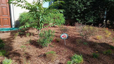 pollinator garden in front of the american foreign service association
